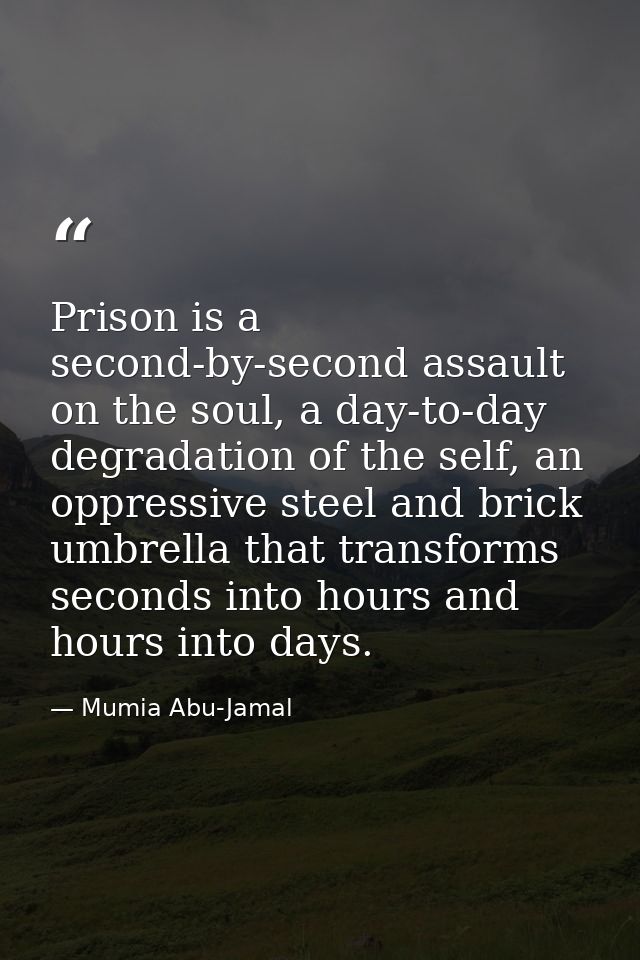 Prison is a second-by-second assault on the soul, a day-to-day degradation of the self, an oppressive steel and brick um — Mumia Abu-Jamal
