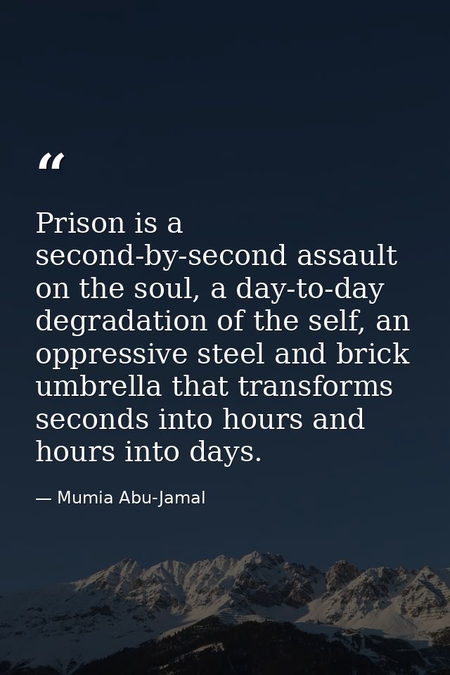 Prison is a second-by-second assault on the soul, a day-to-day degradation of the self, an oppressive steel and brick um — Mumia Abu-Jamal