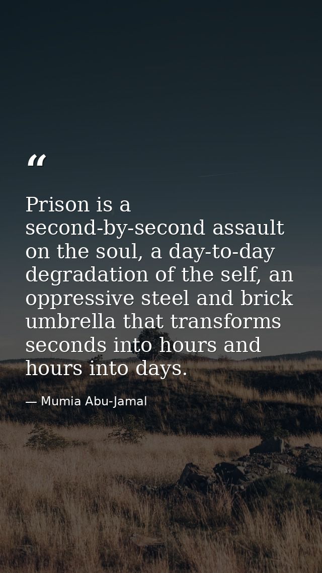 Prison is a second-by-second assault on the soul, a day-to-day degradation of the self, an oppressive steel and brick um — Mumia Abu-Jamal