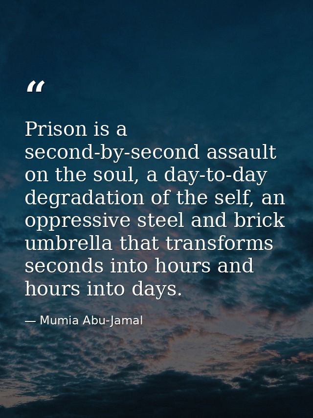 Prison is a second-by-second assault on the soul, a day-to-day degradation of the self, an oppressive steel and brick um — Mumia Abu-Jamal