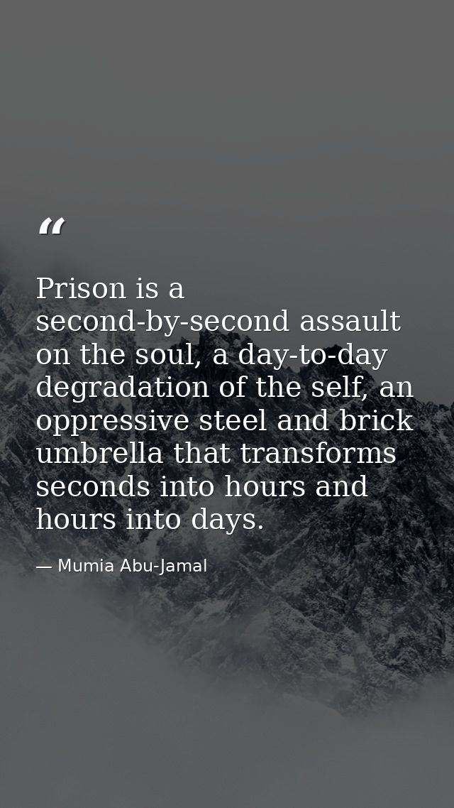 Prison is a second-by-second assault on the soul, a day-to-day degradation of the self, an oppressive steel and brick um — Mumia Abu-Jamal