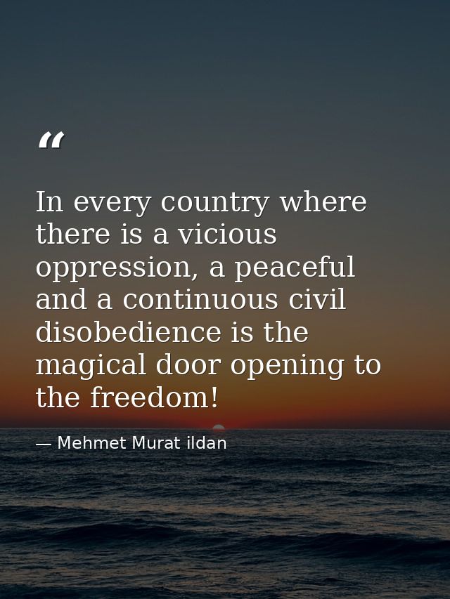 In every country where there is a vicious oppression, a peaceful and a continuous civil disobedience is the magical door — Mehmet Murat ildan