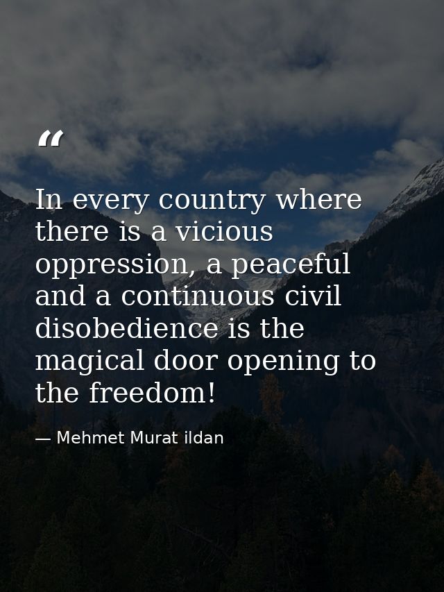 In every country where there is a vicious oppression, a peaceful and a continuous civil disobedience is the magical door — Mehmet Murat ildan