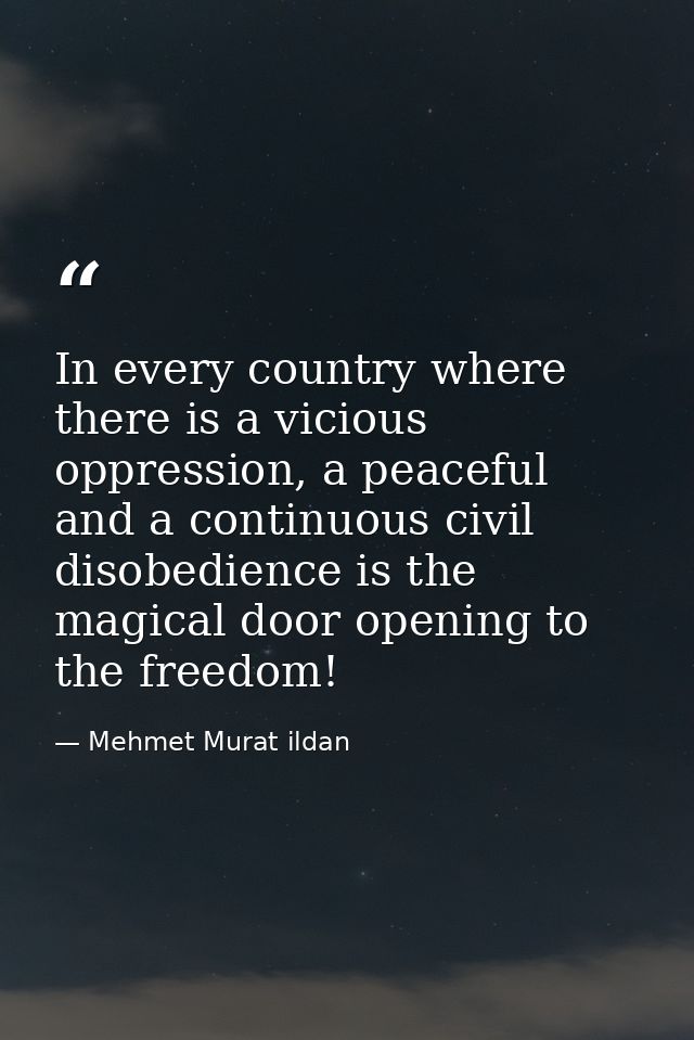 In every country where there is a vicious oppression, a peaceful and a continuous civil disobedience is the magical door — Mehmet Murat ildan