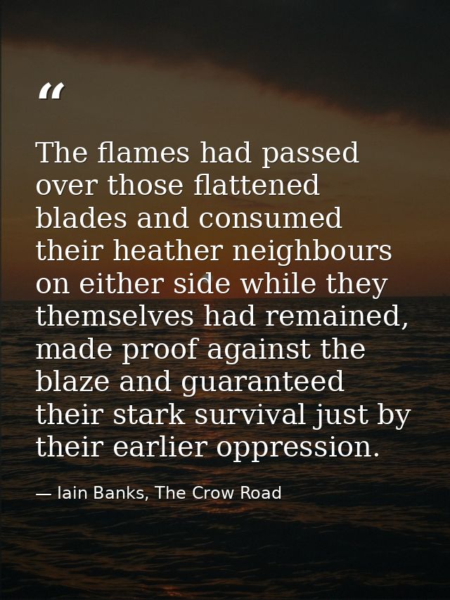 The flames had passed over those flattened blades and consumed their heather neighbours on either side while they themse — Iain Banks, The Crow Road