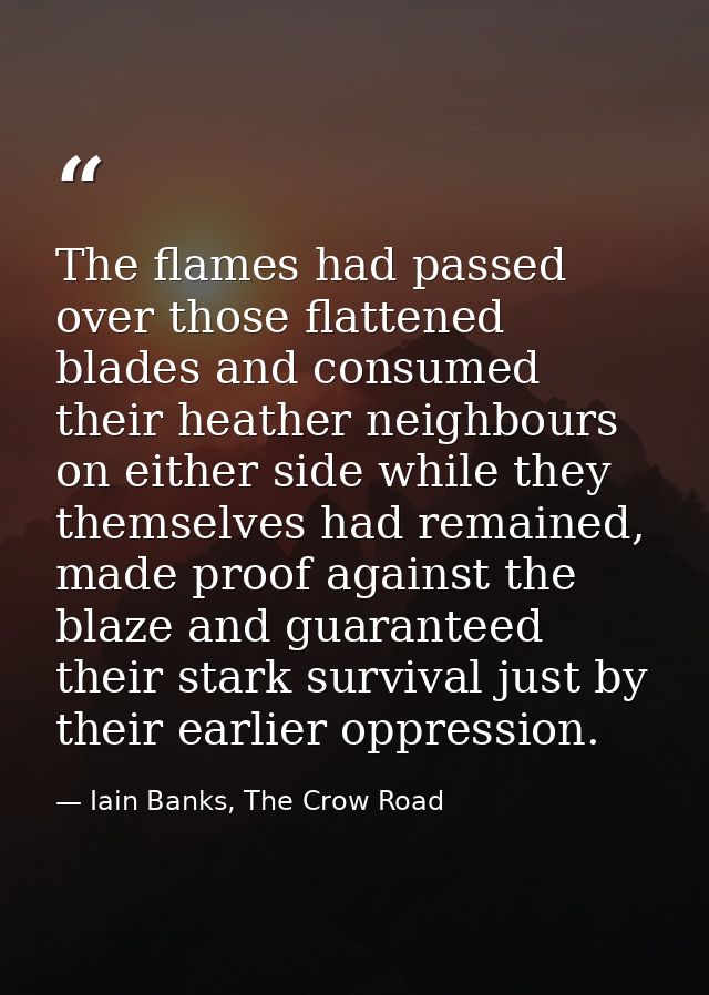 The flames had passed over those flattened blades and consumed their heather neighbours on either side while they themse — Iain Banks, The Crow Road