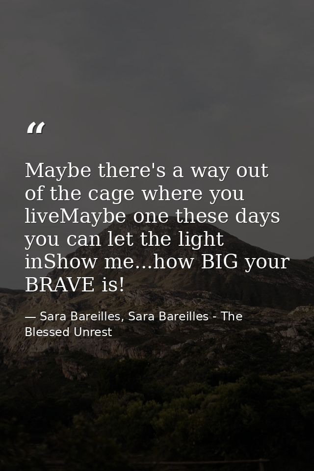 Maybe there's a way out of the cage where you liveMaybe one these days you can let the light inShow me...how BIG your BR — Sara Bareilles, Sara Bareilles - The Blessed Unrest