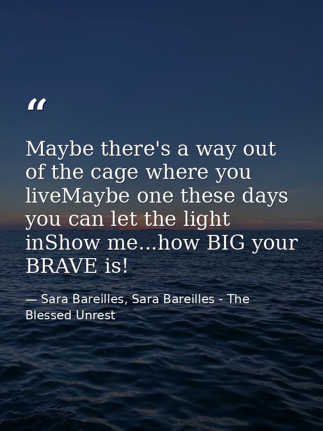 Maybe there's a way out of the cage where you liveMaybe one these days you can let the light inShow me...how BIG your BR — Sara Bareilles, Sara Bareilles - The Blessed Unrest