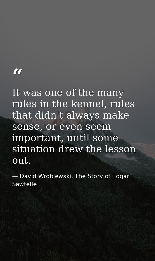 It was one of the many rules in the kennel, rules that didn't always make sense, or even seem important, until some situ — David Wroblewski, The Story of Edgar Sawtelle