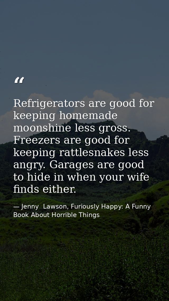 Refrigerators are good for keeping homemade moonshine less gross. Freezers are good for keeping rattlesnakes less angry. — Jenny  Lawson, Furiously Happy: A Funny Book About Horrible Things