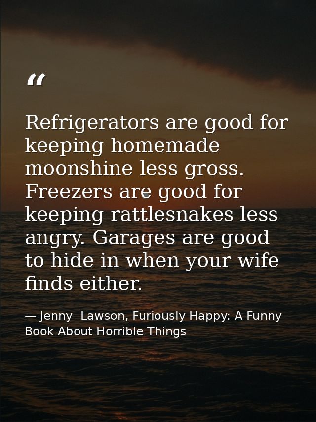 Refrigerators are good for keeping homemade moonshine less gross. Freezers are good for keeping rattlesnakes less angry. — Jenny  Lawson, Furiously Happy: A Funny Book About Horrible Things