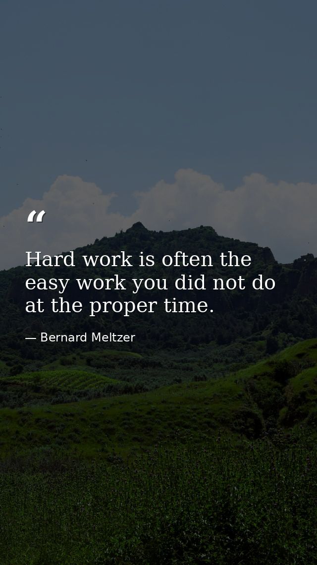 Hard work is often the easy work you did not do at the proper time. — Bernard Meltzer