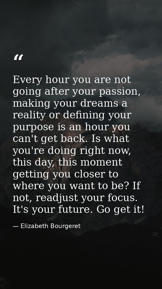 Every hour you are not going after your passion, making your dreams a reality or defining your purpose is an hour you ca — Elizabeth Bourgeret