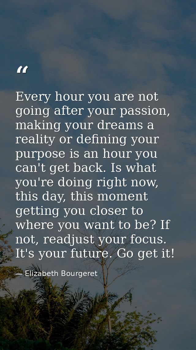Every hour you are not going after your passion, making your dreams a reality or defining your purpose is an hour you ca — Elizabeth Bourgeret