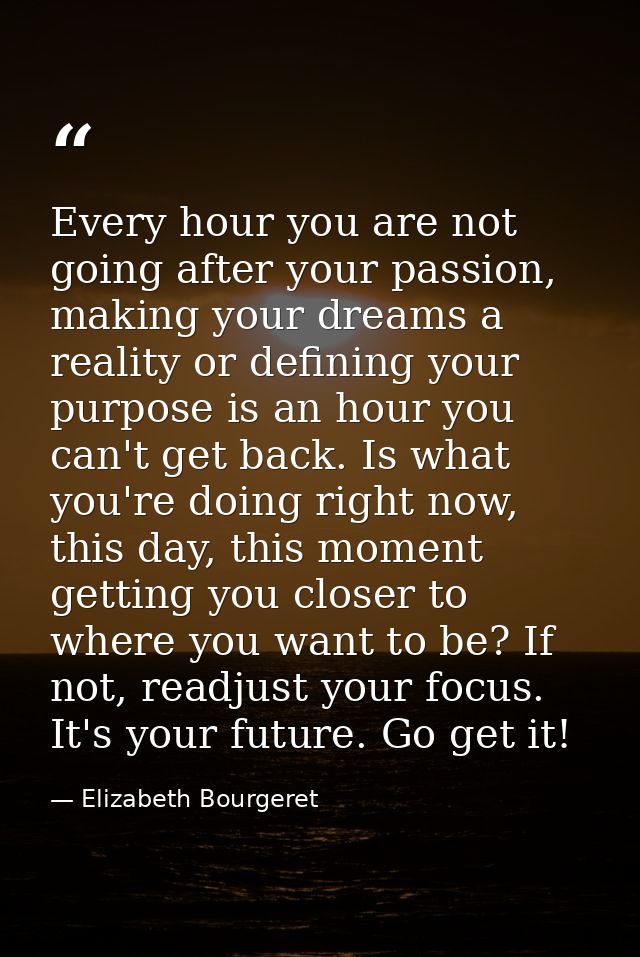 Every hour you are not going after your passion, making your dreams a reality or defining your purpose is an hour you ca — Elizabeth Bourgeret
