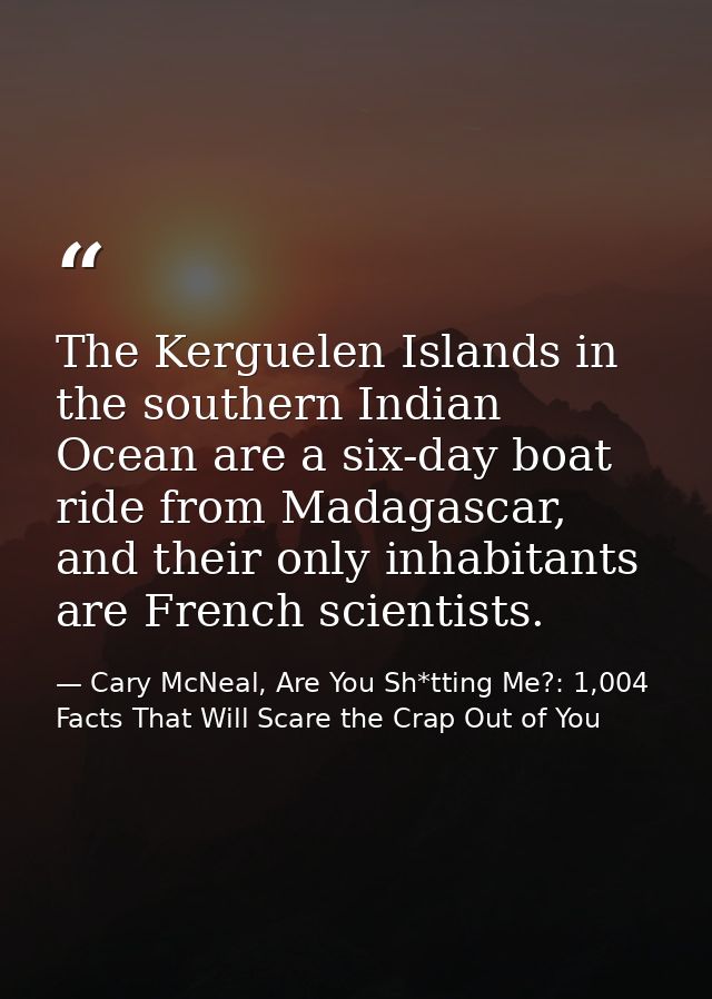 The Kerguelen Islands in the southern Indian Ocean are a six-day boat ride from Madagascar, and their only inhabitants a — Cary McNeal, Are You Sh*tting Me?: 1,004 Facts That Will Scare the Crap Out of You
