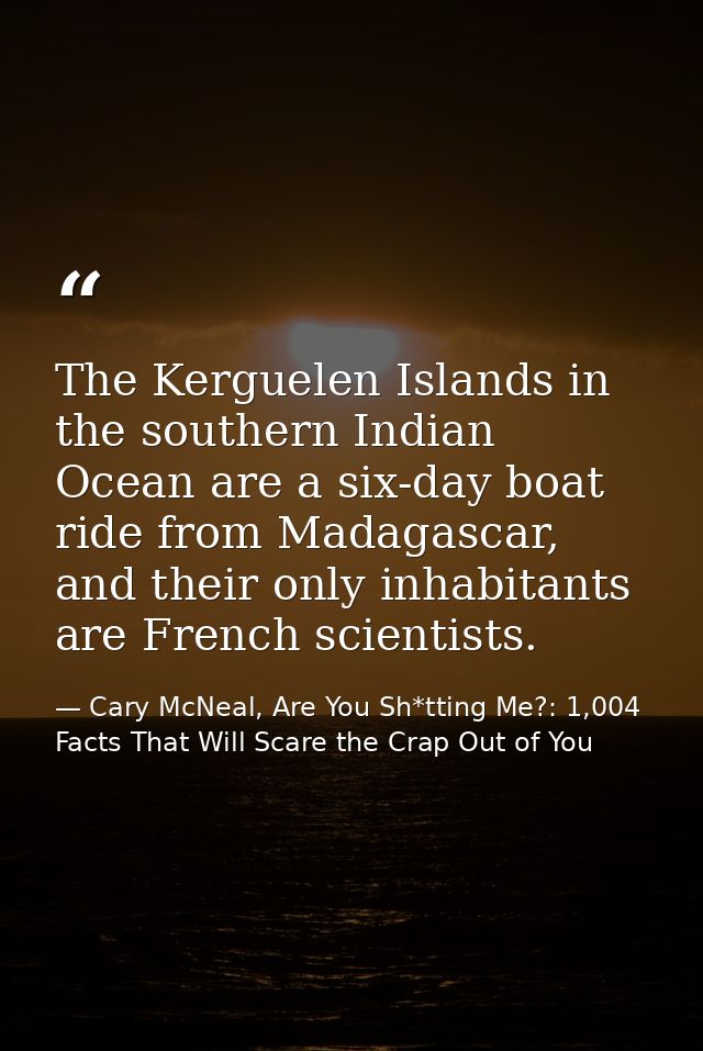 The Kerguelen Islands in the southern Indian Ocean are a six-day boat ride from Madagascar, and their only inhabitants a — Cary McNeal, Are You Sh*tting Me?: 1,004 Facts That Will Scare the Crap Out of You