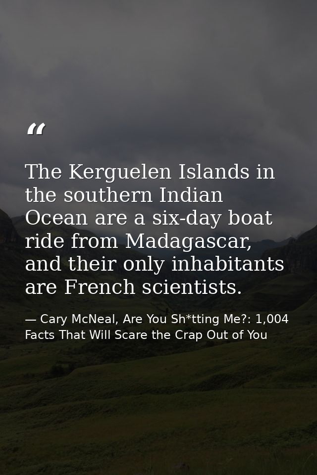 The Kerguelen Islands in the southern Indian Ocean are a six-day boat ride from Madagascar, and their only inhabitants a — Cary McNeal, Are You Sh*tting Me?: 1,004 Facts That Will Scare the Crap Out of You