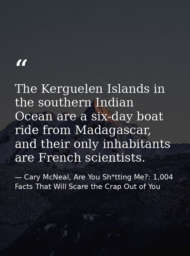The Kerguelen Islands in the southern Indian Ocean are a six-day boat ride from Madagascar, and their only inhabitants a — Cary McNeal, Are You Sh*tting Me?: 1,004 Facts That Will Scare the Crap Out of You