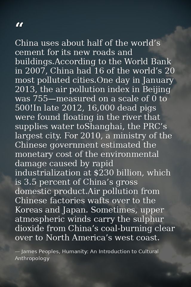 China uses about half of the world’s cement for its new roads and buildings.According to the World Bank in 2007, China h — James Peoples, Humanity: An Introduction to Cultural Anthropology