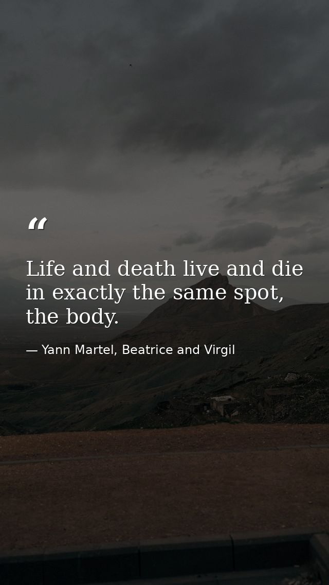 Life and death live and die in exactly the same spot, the body. — Yann Martel, Beatrice and Virgil
