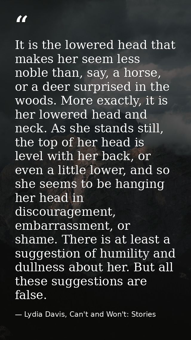 It is the lowered head that makes her seem less noble than, say, a horse, or a deer surprised in the woods. More exactly — Lydia Davis, Can't and Won't: Stories