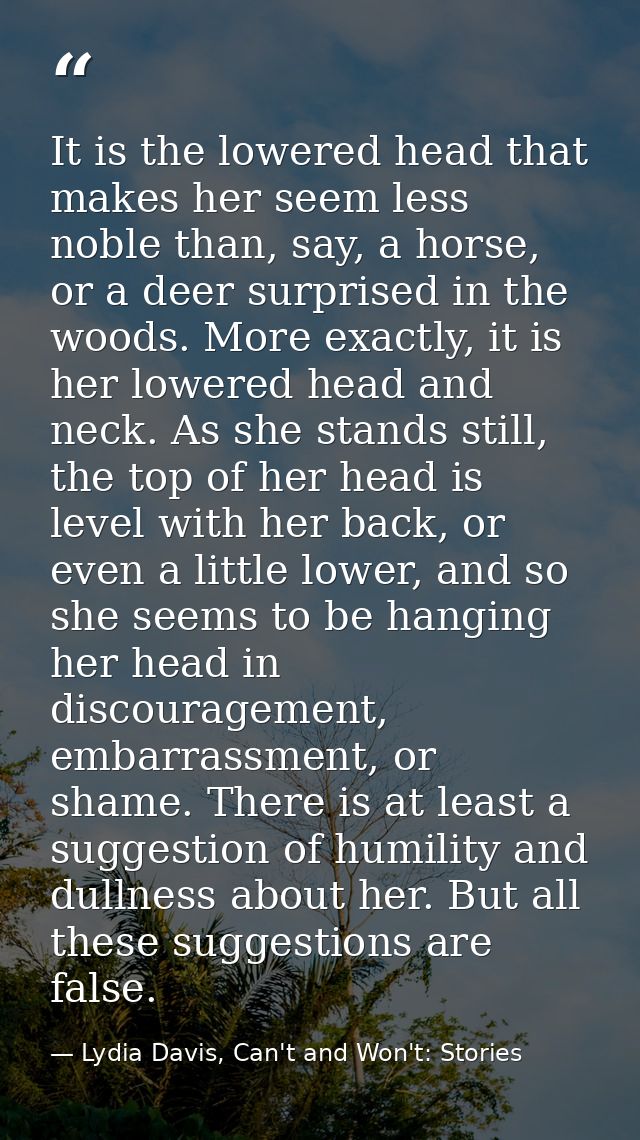 It is the lowered head that makes her seem less noble than, say, a horse, or a deer surprised in the woods. More exactly — Lydia Davis, Can't and Won't: Stories