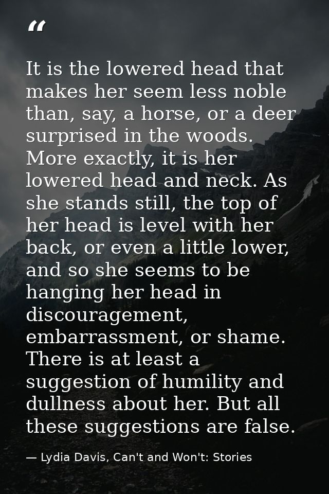 It is the lowered head that makes her seem less noble than, say, a horse, or a deer surprised in the woods. More exactly — Lydia Davis, Can't and Won't: Stories