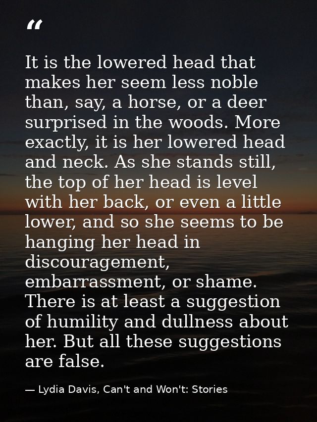It is the lowered head that makes her seem less noble than, say, a horse, or a deer surprised in the woods. More exactly — Lydia Davis, Can't and Won't: Stories