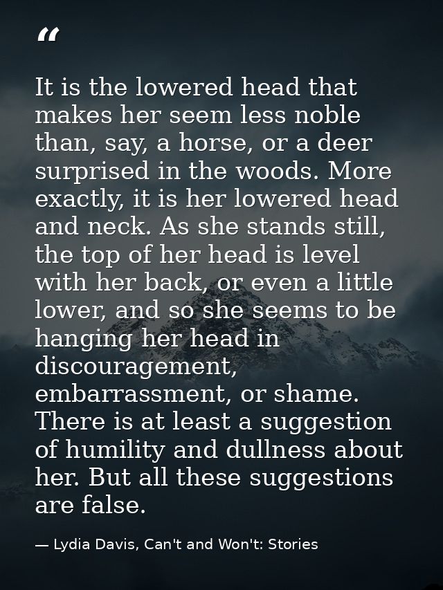 It is the lowered head that makes her seem less noble than, say, a horse, or a deer surprised in the woods. More exactly — Lydia Davis, Can't and Won't: Stories