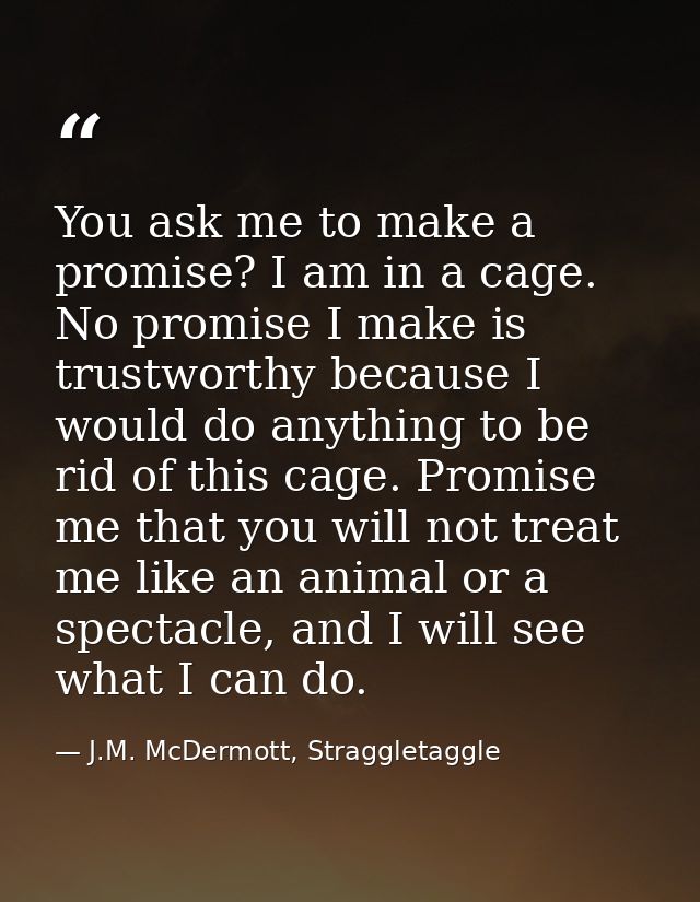 You ask me to make a promise? I am in a cage. No promise I make is trustworthy because I would do anything to be rid of  — J.M. McDermott, Straggletaggle