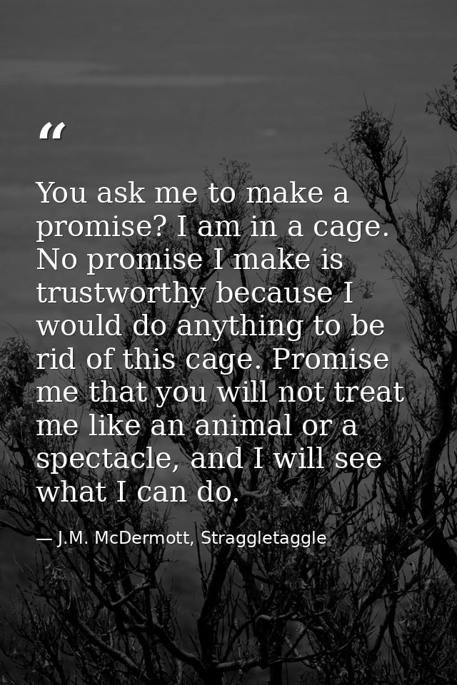 You ask me to make a promise? I am in a cage. No promise I make is trustworthy because I would do anything to be rid of  — J.M. McDermott, Straggletaggle