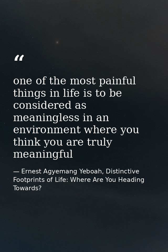 one of the most painful things in life is to be considered as meaningless in an environment where you think you are trul — Ernest Agyemang Yeboah, Distinctive Footprints of Life: Where Are You Heading Towards?