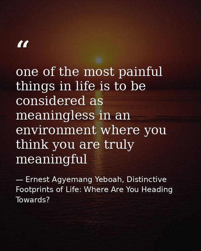 one of the most painful things in life is to be considered as meaningless in an environment where you think you are trul — Ernest Agyemang Yeboah, Distinctive Footprints of Life: Where Are You Heading Towards?