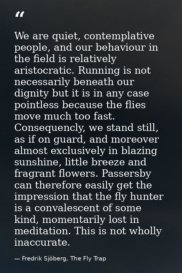 We are quiet, contemplative people, and our behaviour in the field is relatively aristocratic. Running is not necessaril — Fredrik Sjöberg, The Fly Trap