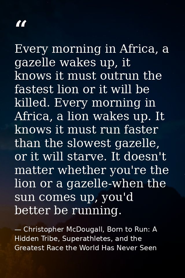 Every morning in Africa, a gazelle wakes up, it knows it must outrun the fastest lion or it will be killed. Every mornin — Christopher McDougall, Born to Run: A Hidden Tribe, Superathletes, and the Greatest Race the World Has Never Seen