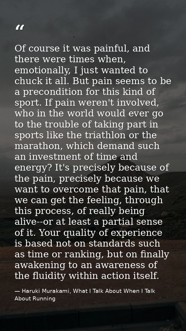 Of course it was painful, and there were times when, emotionally, I just wanted to chuck it all. But pain seems to be a  — Haruki Murakami, What I Talk About When I Talk About Running