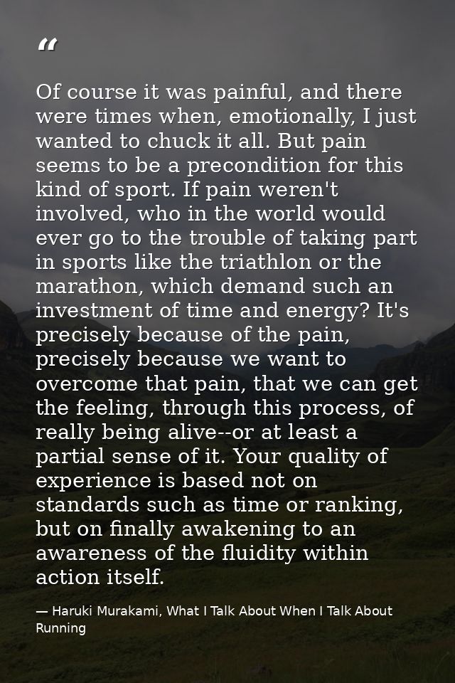Of course it was painful, and there were times when, emotionally, I just wanted to chuck it all. But pain seems to be a  — Haruki Murakami, What I Talk About When I Talk About Running