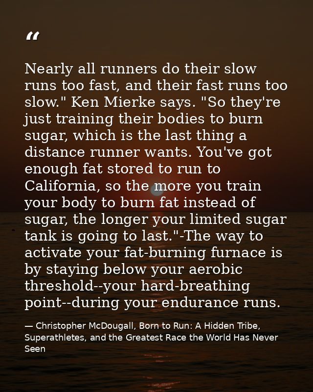Nearly all runners do their slow runs too fast, and their fast runs too slow." Ken Mierke says. "So they're just trainin — Christopher McDougall, Born to Run: A Hidden Tribe, Superathletes, and the Greatest Race the World Has Never Seen