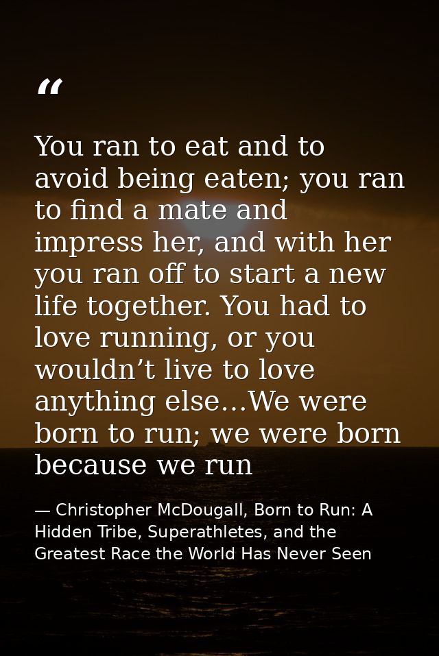 You ran to eat and to avoid being eaten; you ran to find a mate and impress her, and with her you ran off to start a new — Christopher McDougall, Born to Run: A Hidden Tribe, Superathletes, and the Greatest Race the World Has Never Seen