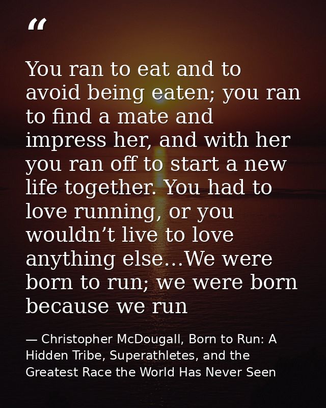 You ran to eat and to avoid being eaten; you ran to find a mate and impress her, and with her you ran off to start a new — Christopher McDougall, Born to Run: A Hidden Tribe, Superathletes, and the Greatest Race the World Has Never Seen