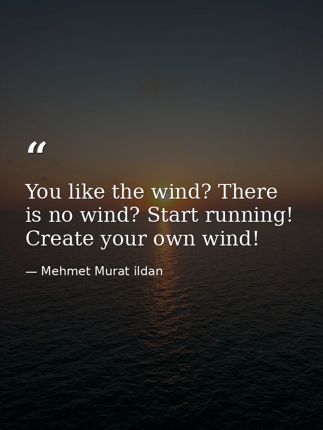 You like the wind? There is no wind? Start running! Create your own wind! — Mehmet Murat ildan