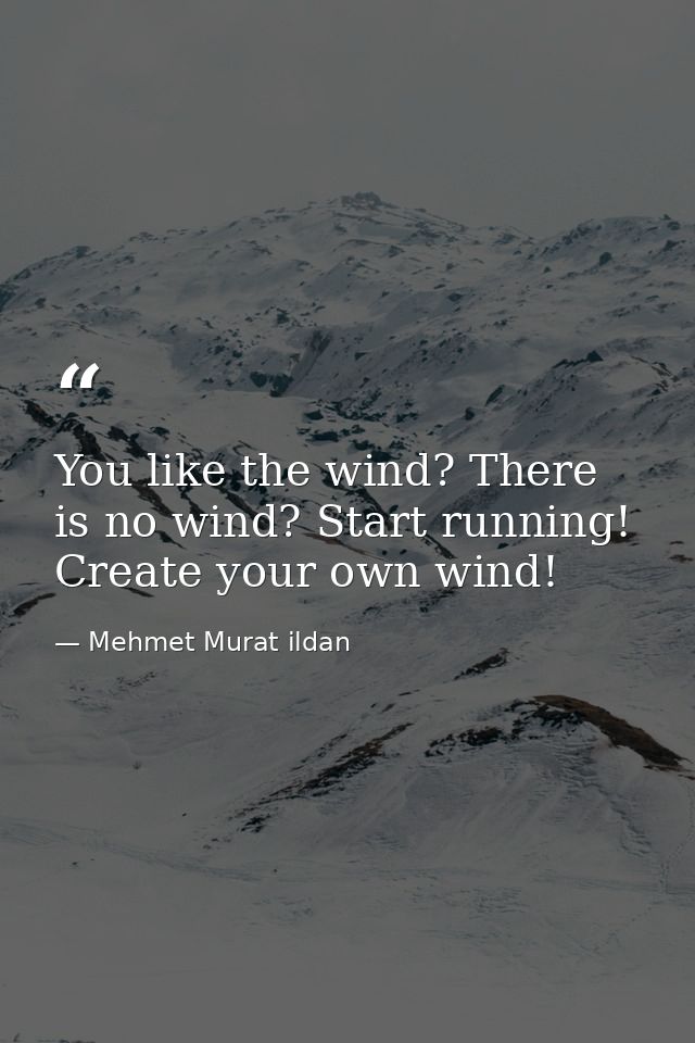 You like the wind? There is no wind? Start running! Create your own wind! — Mehmet Murat ildan