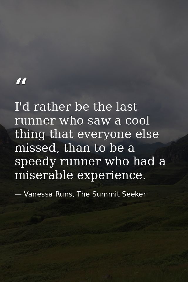 I'd rather be the last runner who saw a cool thing that everyone else missed, than to be a speedy runner who had a miser — Vanessa Runs, The Summit Seeker