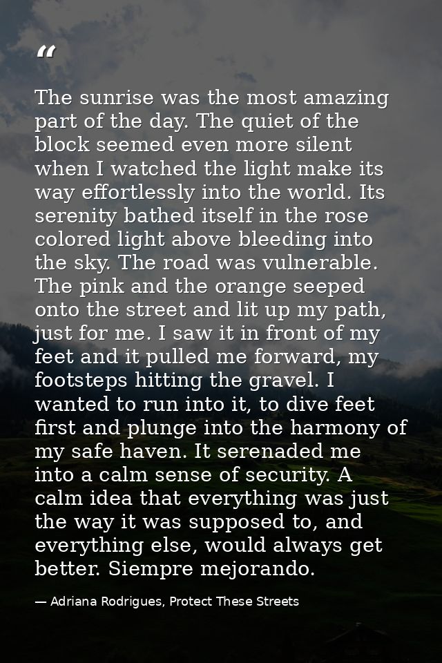 The sunrise was the most amazing part of the day. The quiet of the block seemed even more silent when I watched the ligh — Adriana Rodrigues, Protect These Streets