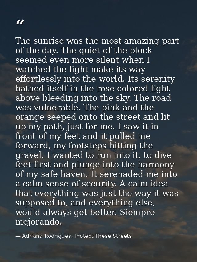 The sunrise was the most amazing part of the day. The quiet of the block seemed even more silent when I watched the ligh — Adriana Rodrigues, Protect These Streets