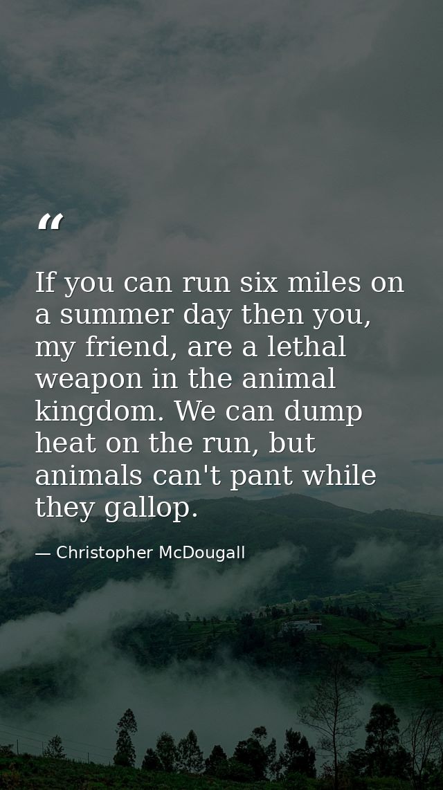 If you can run six miles on a summer day then you, my friend, are a lethal weapon in the animal kingdom. We can dump hea — Christopher McDougall