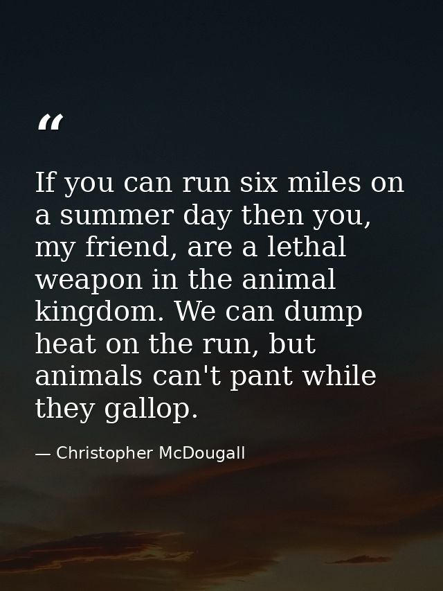 If you can run six miles on a summer day then you, my friend, are a lethal weapon in the animal kingdom. We can dump hea — Christopher McDougall