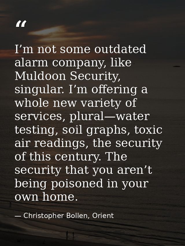 I’m not some outdated alarm company, like Muldoon Security, singular. I’m offering a whole new variety of services, plur — Christopher Bollen, Orient