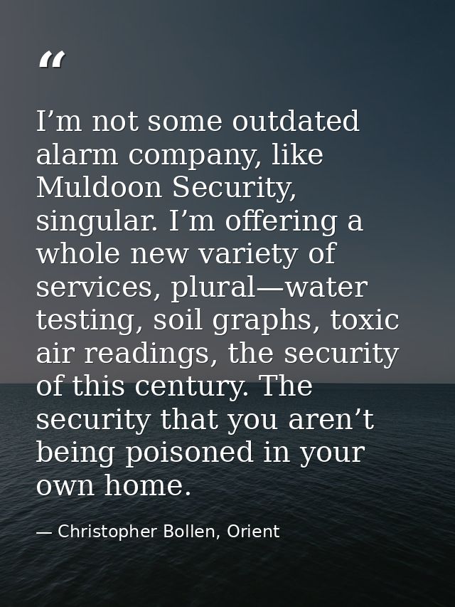 I’m not some outdated alarm company, like Muldoon Security, singular. I’m offering a whole new variety of services, plur — Christopher Bollen, Orient